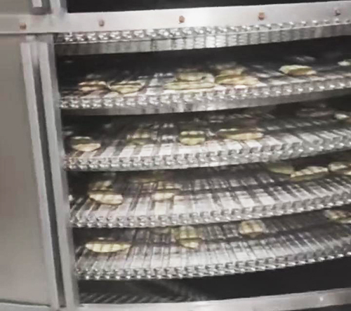 螺旋冷凍網(wǎng)帶